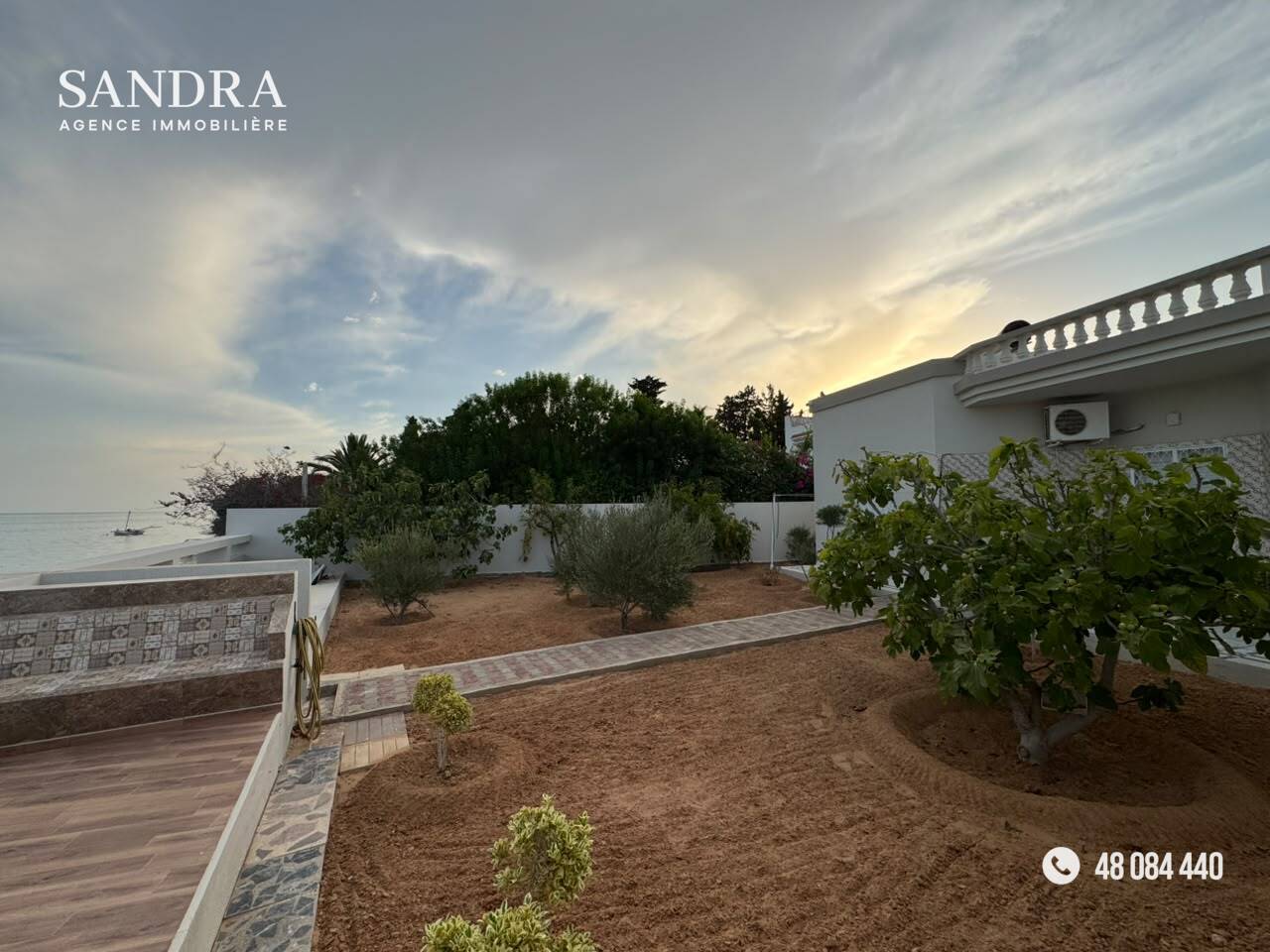 Property media
